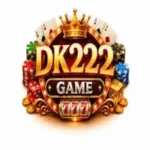 DK222 Game