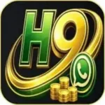 Hi 309 Game