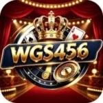 WGS456 Game