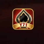 Y71 Game