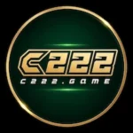 C222 Game